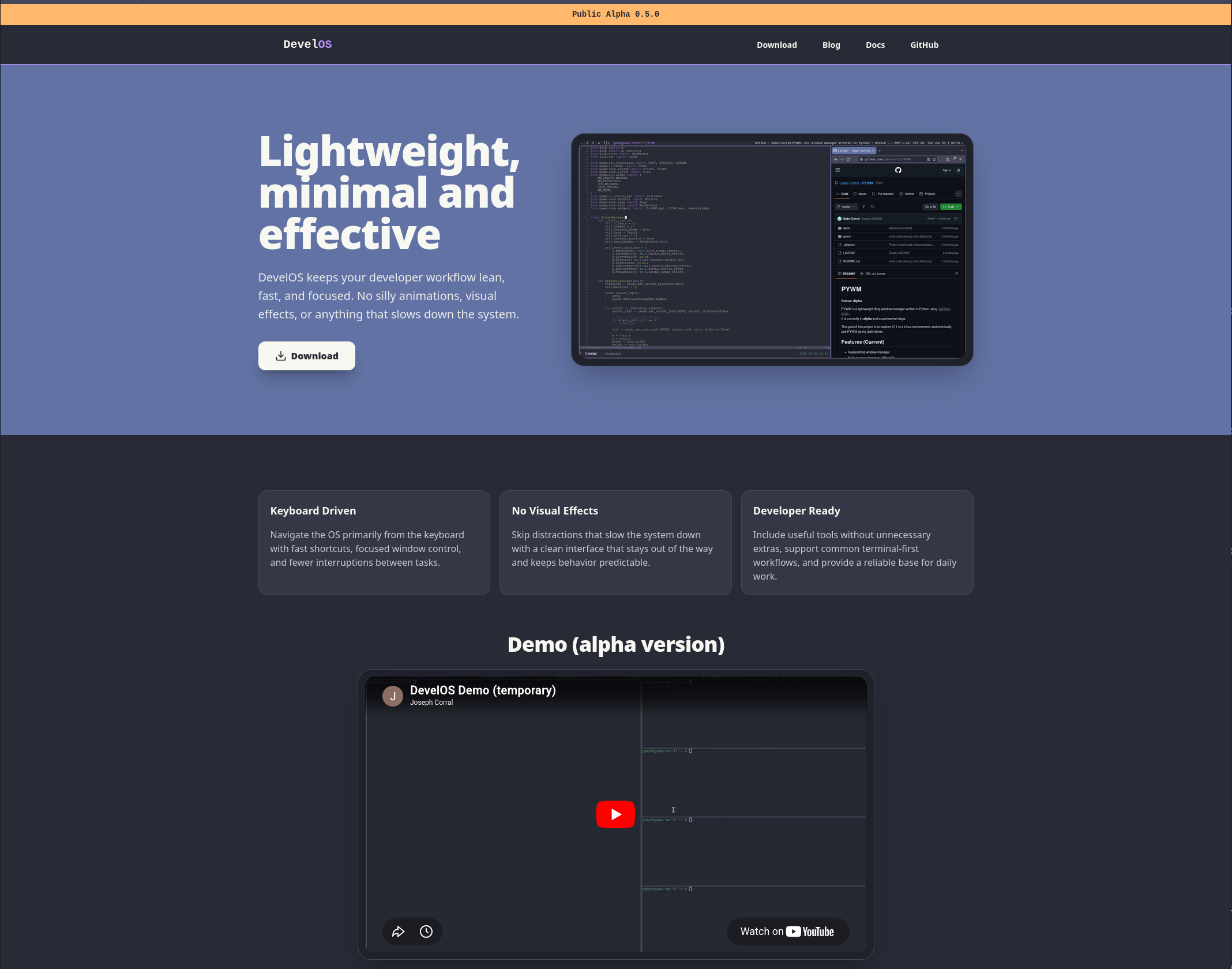 DevelOS Website preview